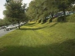 Apk Estacionar Estacionamiento Regulado Muñosancho noviembre-recurrir-multa-estacionamiento-regulado-Muñosancho